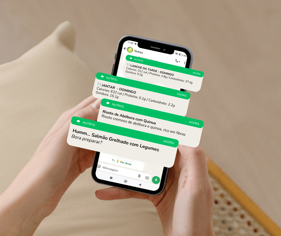 Tela do WhatsApp do Cliente